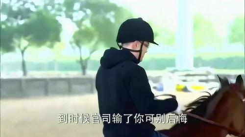 离婚律师吃瓜,揭秘婚姻背后的法律风云