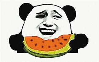 吃瓜群众小葱花,揭秘吃瓜群众的趣味生活