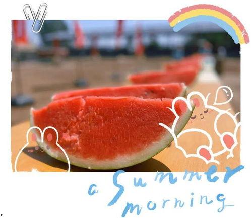 吃瓜认真,揭秘娱乐圈那些事儿