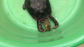 亚娱吃瓜,揭秘娱乐圈背后的那些事儿