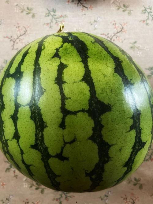 表演吃瓜的视频,一镜到底的吃瓜表演,笑料横生!