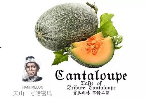 百家号吃瓜,热门话题背后的真相与笑料