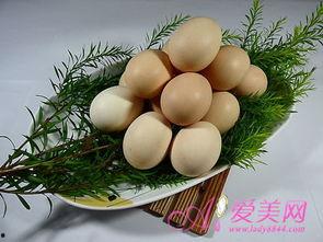 生瓜蛋子吃生瓜下句,一场别开生面的美食冒险