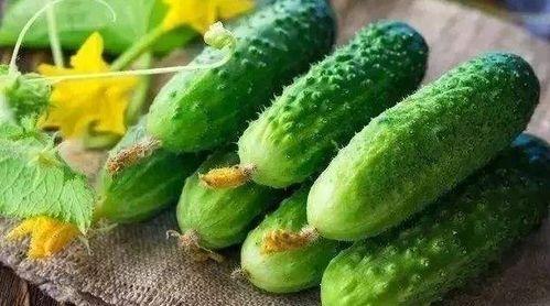 冬天吃瓜菜,时令瓜菜新滋味