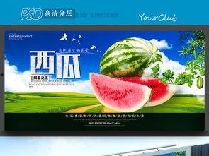 吃瓜营销号模板图片,如何轻松吸引百万粉丝