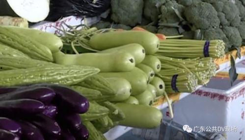 邢台吃瓜中毒,吃瓜中毒事件引发食品安全警钟长鸣