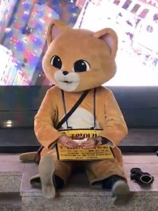 布偶可以吃瓜吗,瓜果时光